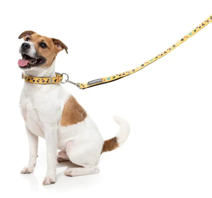 Matching Dog Collar & Lead Sets UK | Designer Dog Accessories | FuzzYard