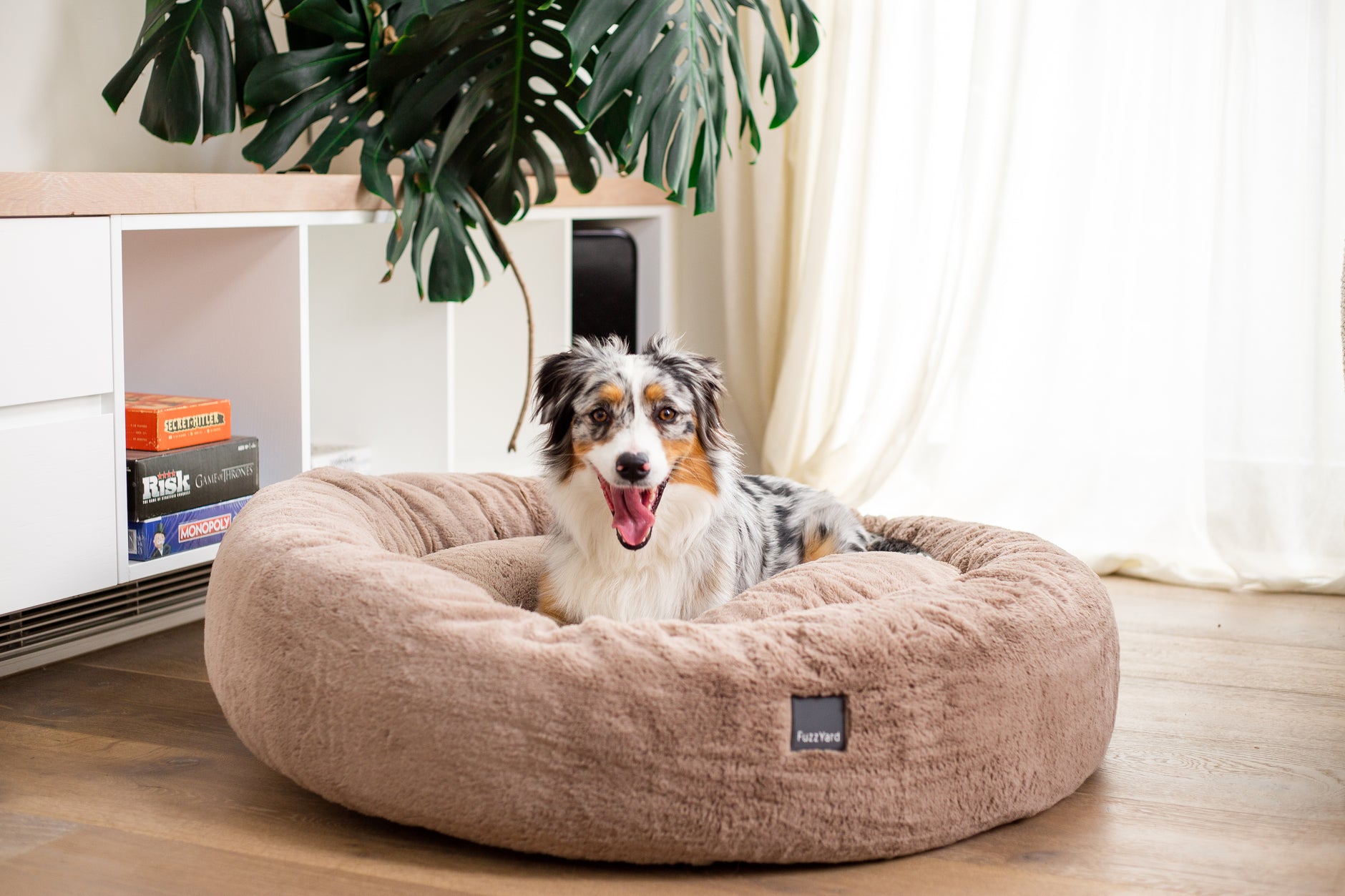 Fuzzyard dog bed sale best sale