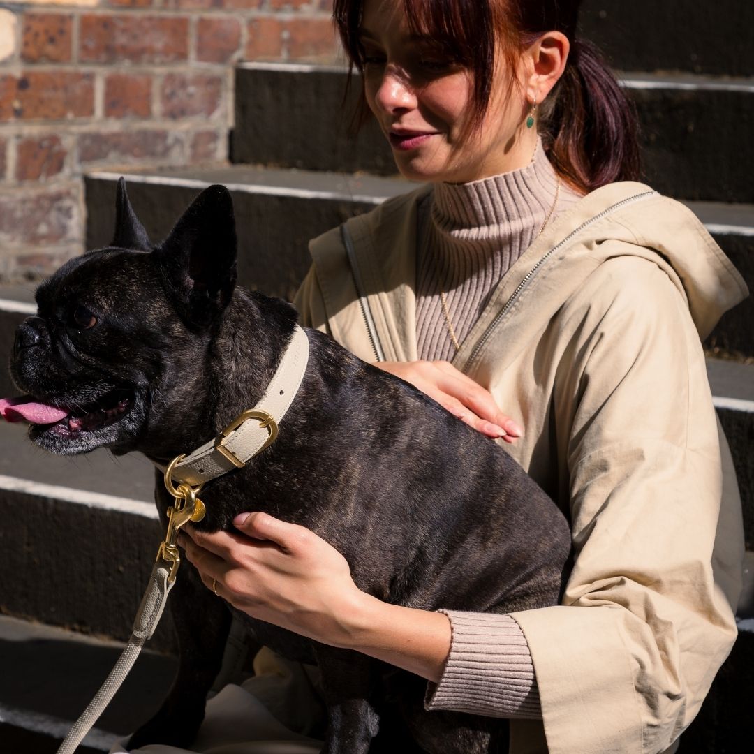 FuzzYard Life Atelier Walk Set (Collar + Lead + Poop Dispenser) - Sandstone - Special Price