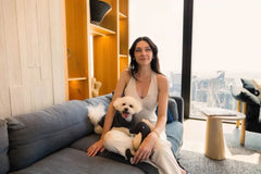 Slate Grey Seahorse - Dog Toys Fuzzyard Life