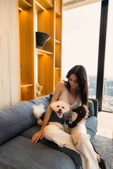 Slate Grey Seahorse - Dog Toys Fuzzyard Life