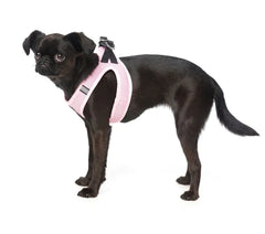 Cotton Candy- Dog Step In Harness