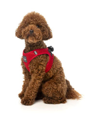 Rebel - Dog Step In Harness