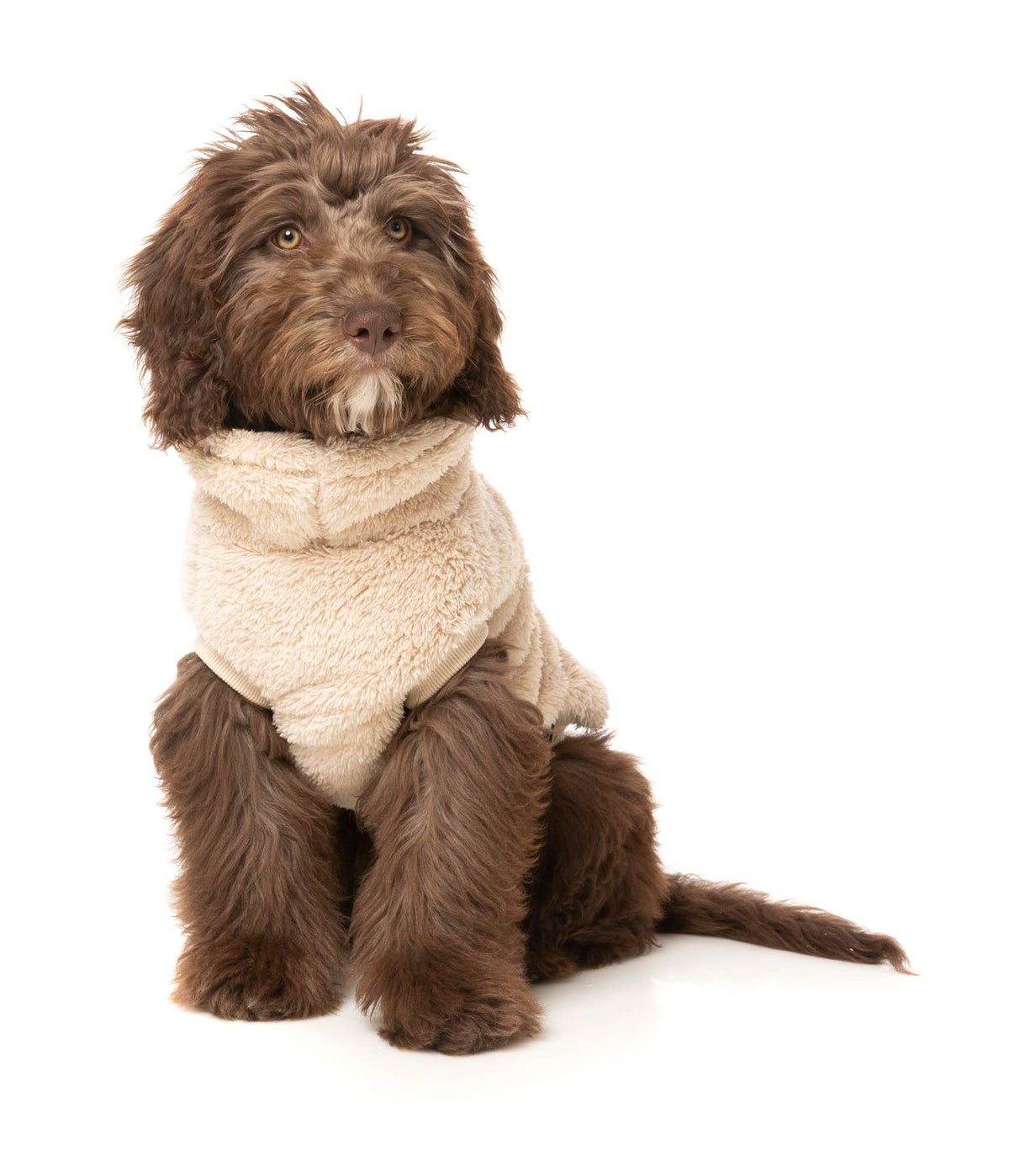 Turtle Teddy Sweater - Beige -FINAL SALE NO RETURNS OR EXCHANGES