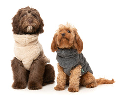 Turtle Teddy Sweater - Beige -FINAL SALE NO RETURNS OR EXCHANGES