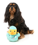 Ducktor - Dog Toy