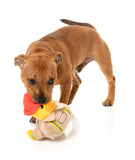 Firequacker - Dog Toy