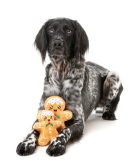 Fred The Gingerbread S - Dog Toy