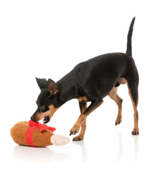 Good Tidings Turkey Leg Dog Toy