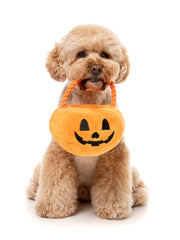 Trick or Treat Pumpkin Basket Dog Toy