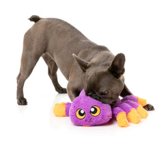 Weborah The Spider - Purple L Dog Toy