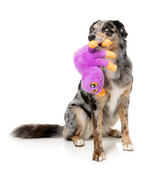 Weborah The Spider - Purple L Dog Toy