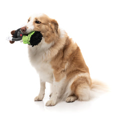 Igor Halloween  - Dog Toy