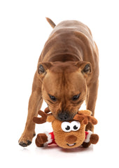 Reggie Claus Reindeer - Christmas - Dog Toy