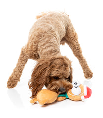 Monecka - The Turkey - Dog Toys