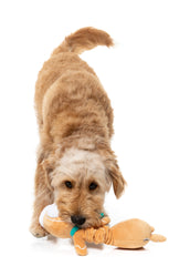 Veronecka The Gingerbread - Dog Toys