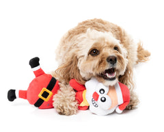 Saint Neckolas - Dog Toys