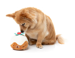 Hey Puddin' - Dog Toys