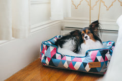 Mosaic Soda Pop Lounge Bed