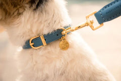 Fuzzyard Life Atelier Dog Collar - French Blue