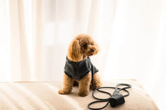 FuzzYard Life Atelier Poop Bag Dispenser - Slate Grey
