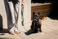 FuzzYard Life Atelier Dog Rope Lead - Myrtle Green