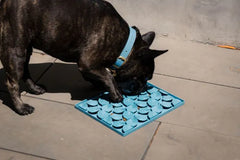 FuzzYard Life Hide & Treat Mat - French Blue