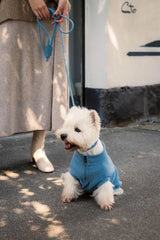 Fuzzyard Life Atelier Dog Collar - French Blue