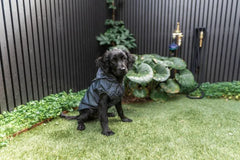 FuzzYard Life Raincoat - Slate Grey