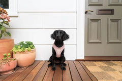 FuzzYard Life Corduroy Step In Harness - Soft Blush