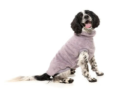 Turtle Teddy 25 Sweater - Lavender