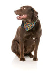 Rainbow Northcote Bandana