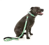 Bananarama Dog Lead