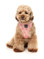 Pink Lemonade - Dog Harness