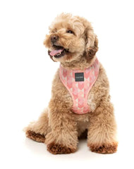 Pink Lemonade - Dog Harness