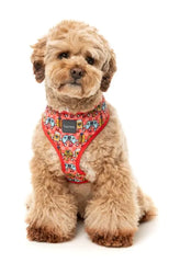 The Homies - Dog Harness