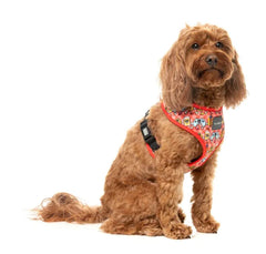The Homies - Dog Harness