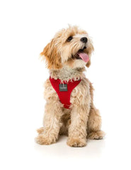 Rebel - Dog Step In Harness