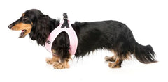 Cotton Candy- Dog Step In Harness
