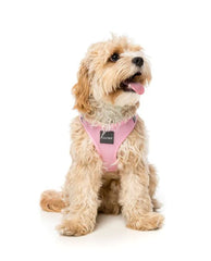 Cotton Candy- Dog Step In Harness