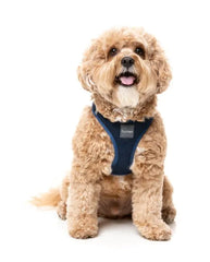 Marine - Dog Step In Harness