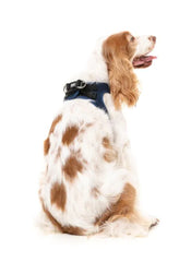 Marine - Dog Step In Harness