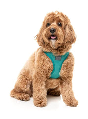 Lagoon - Dog Step In Harness