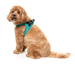 Lagoon - Dog Step In Harness