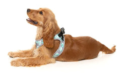 Mint Fitz - Dog Step In Harness