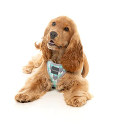 Mint Fitz - Dog Step In Harness