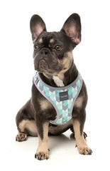 Mint Fitz - Dog Step In Harness