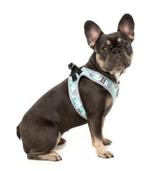 Mint Fitz - Dog Step In Harness