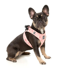 Pink Lemonade - Dog Step In Harness