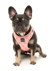 Pink Lemonade - Dog Step In Harness